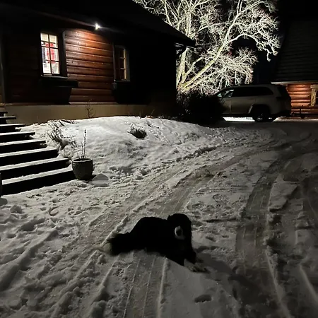 Sirgova Puhkemaja Koos Suitsusaunaga *